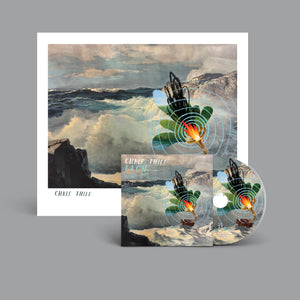 Bach: Sonatas and Partitas Vol. 2