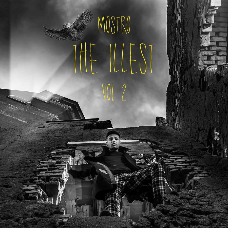 The Illest Vol.2