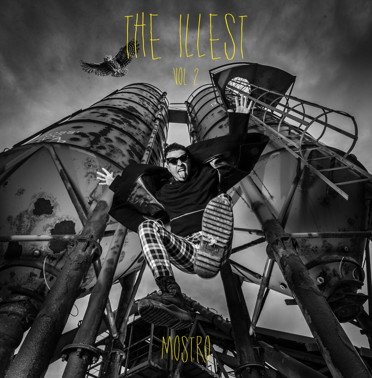 The Illest Vol.2