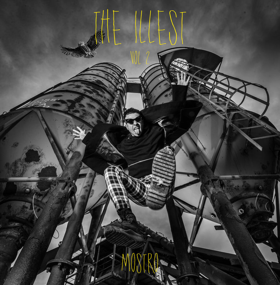 The Illest Vol.2