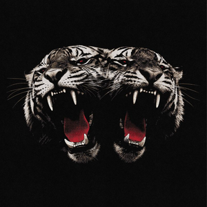 Dead Company
